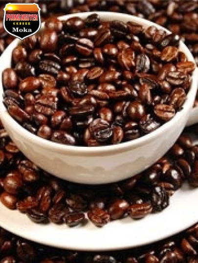 Robusta sàn 18